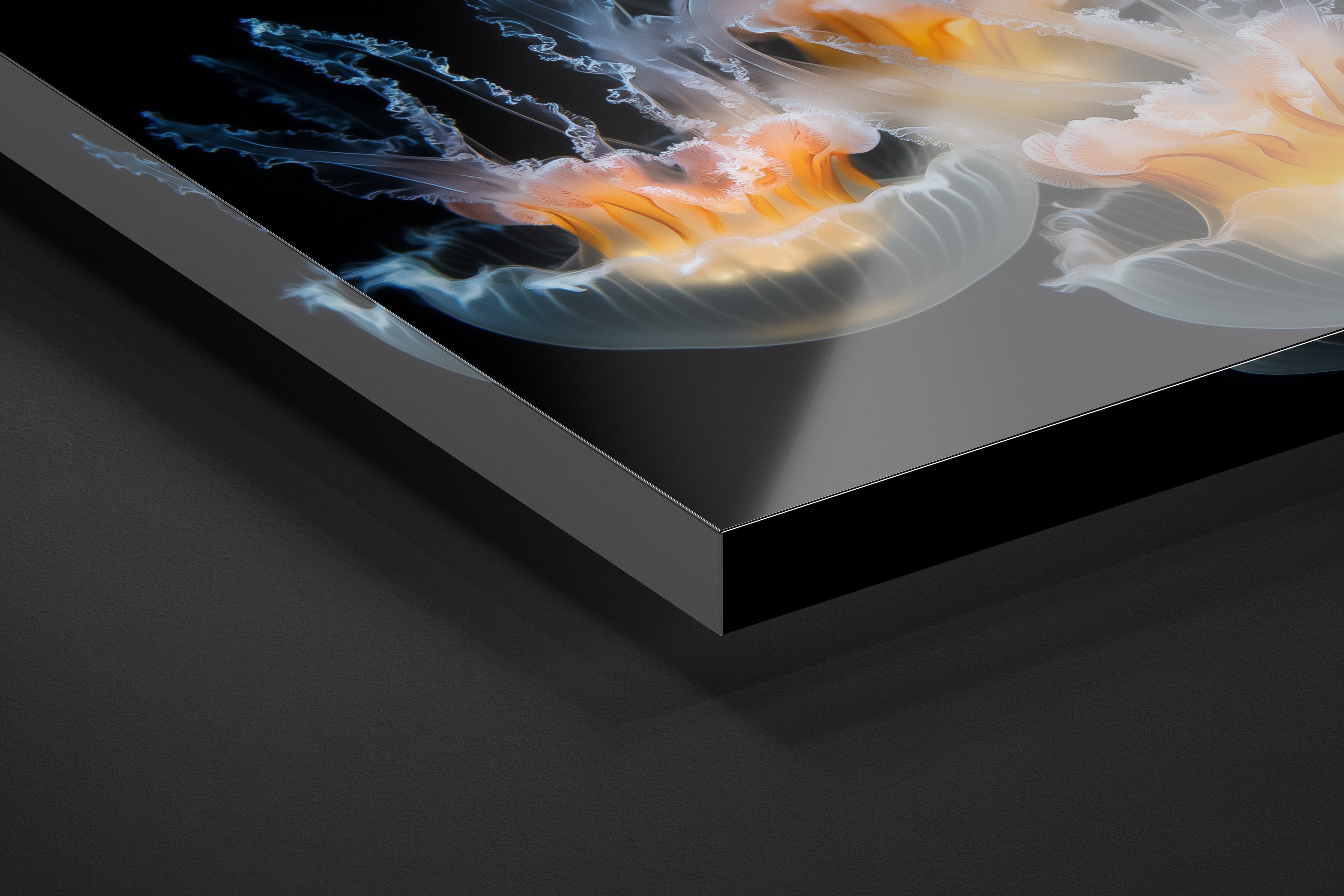 Jellyfish Wonders - 4.jpg