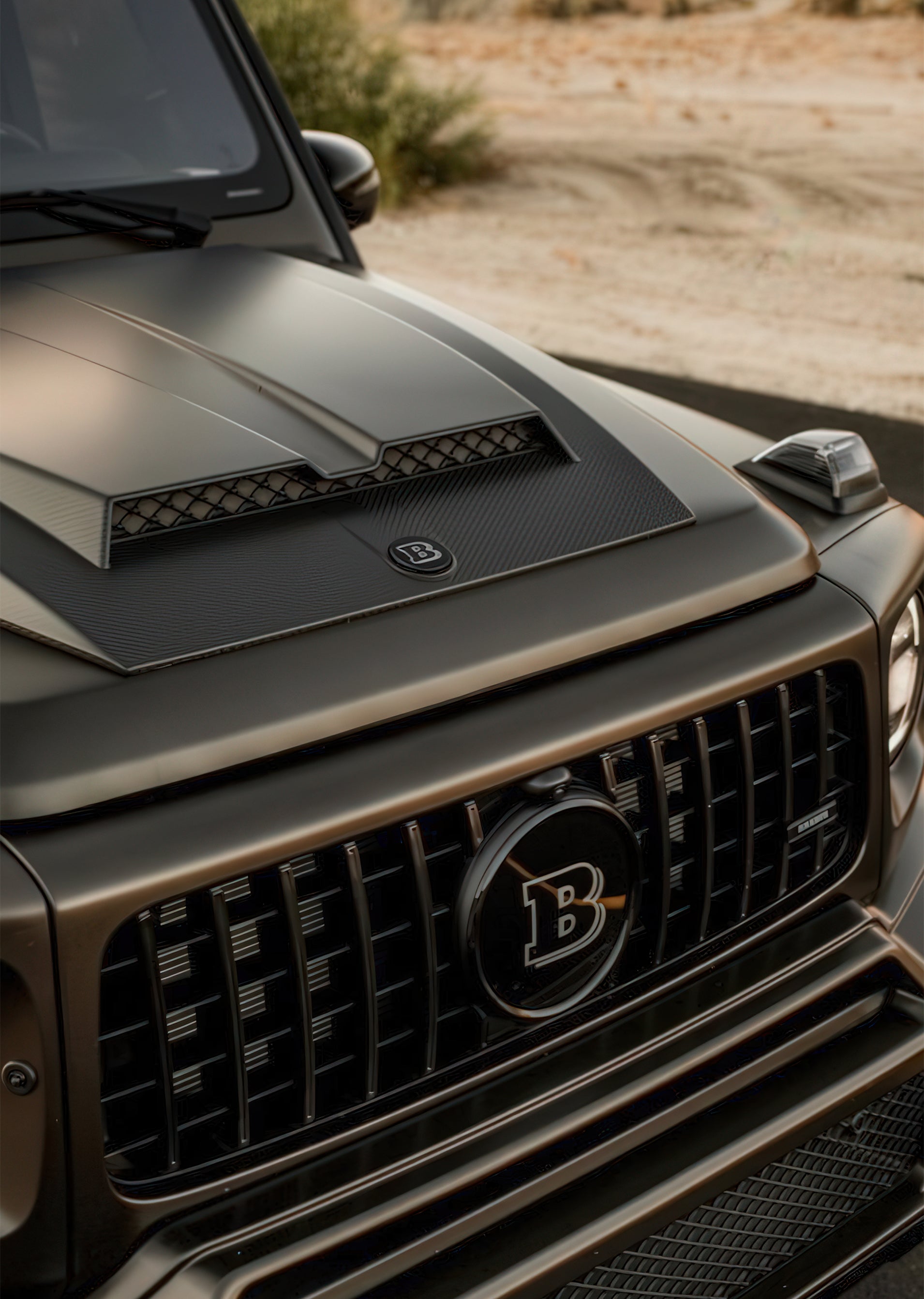 Into The Wild - 5.jpg