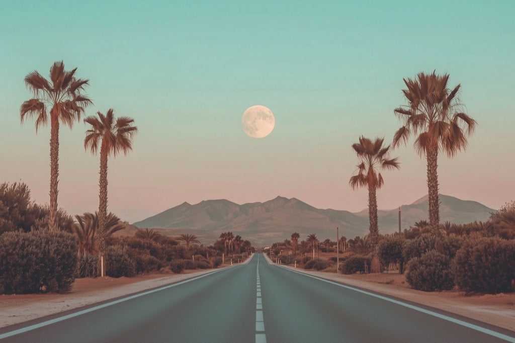 Mountainview Palms - 5.jpg