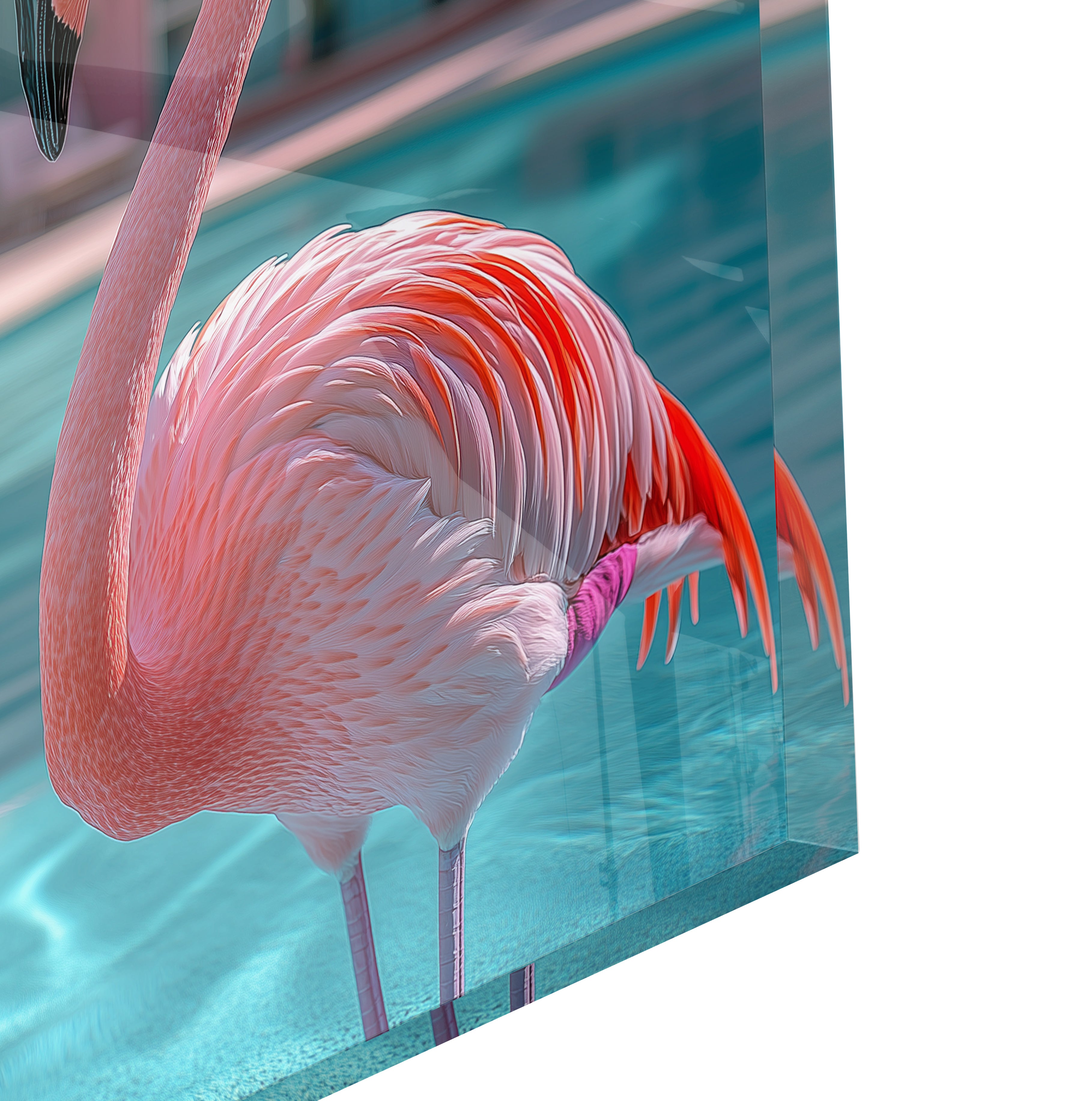 Pink Flamingo Pool - 4.jpg