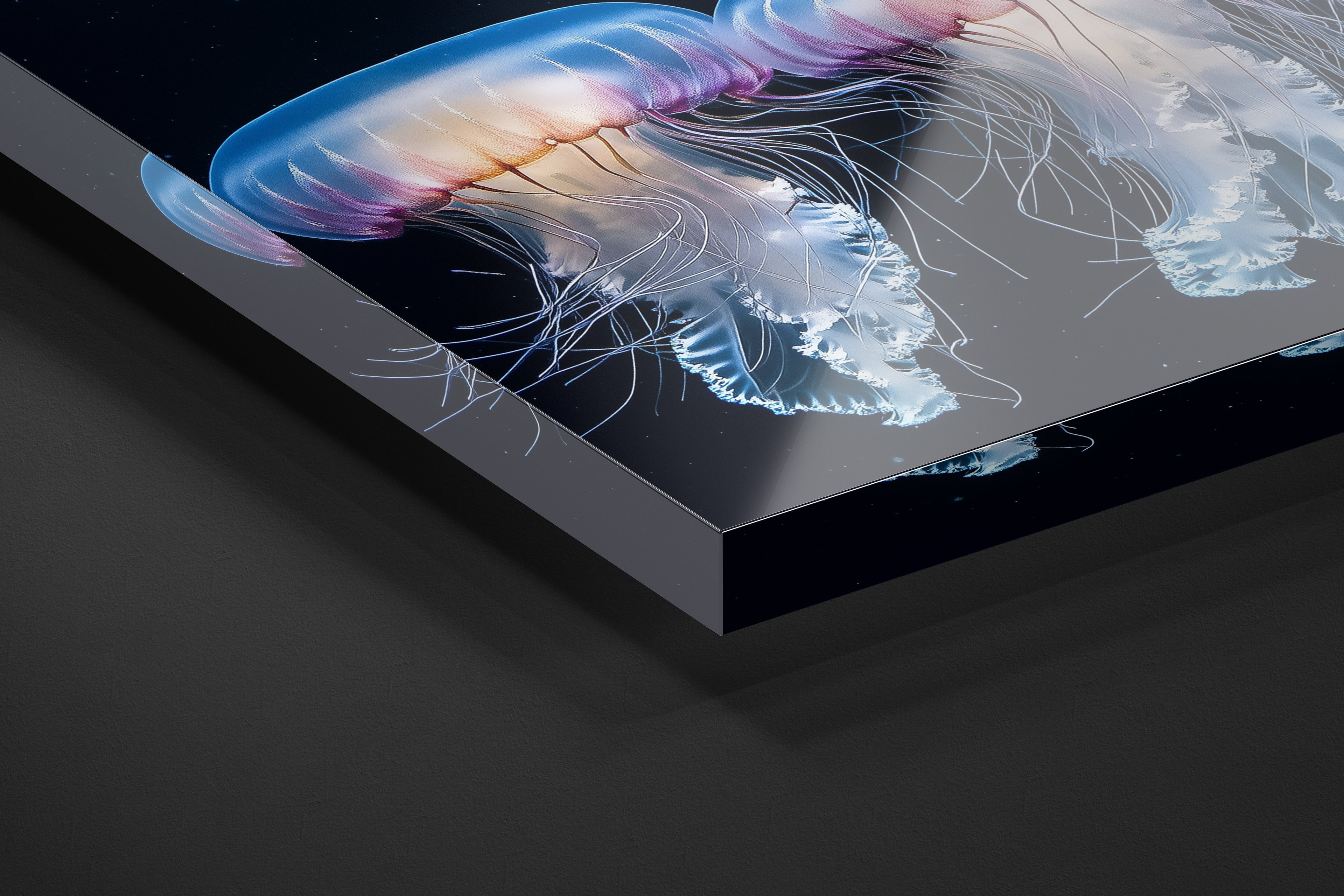 Dancing Jellyfish - 4.jpg