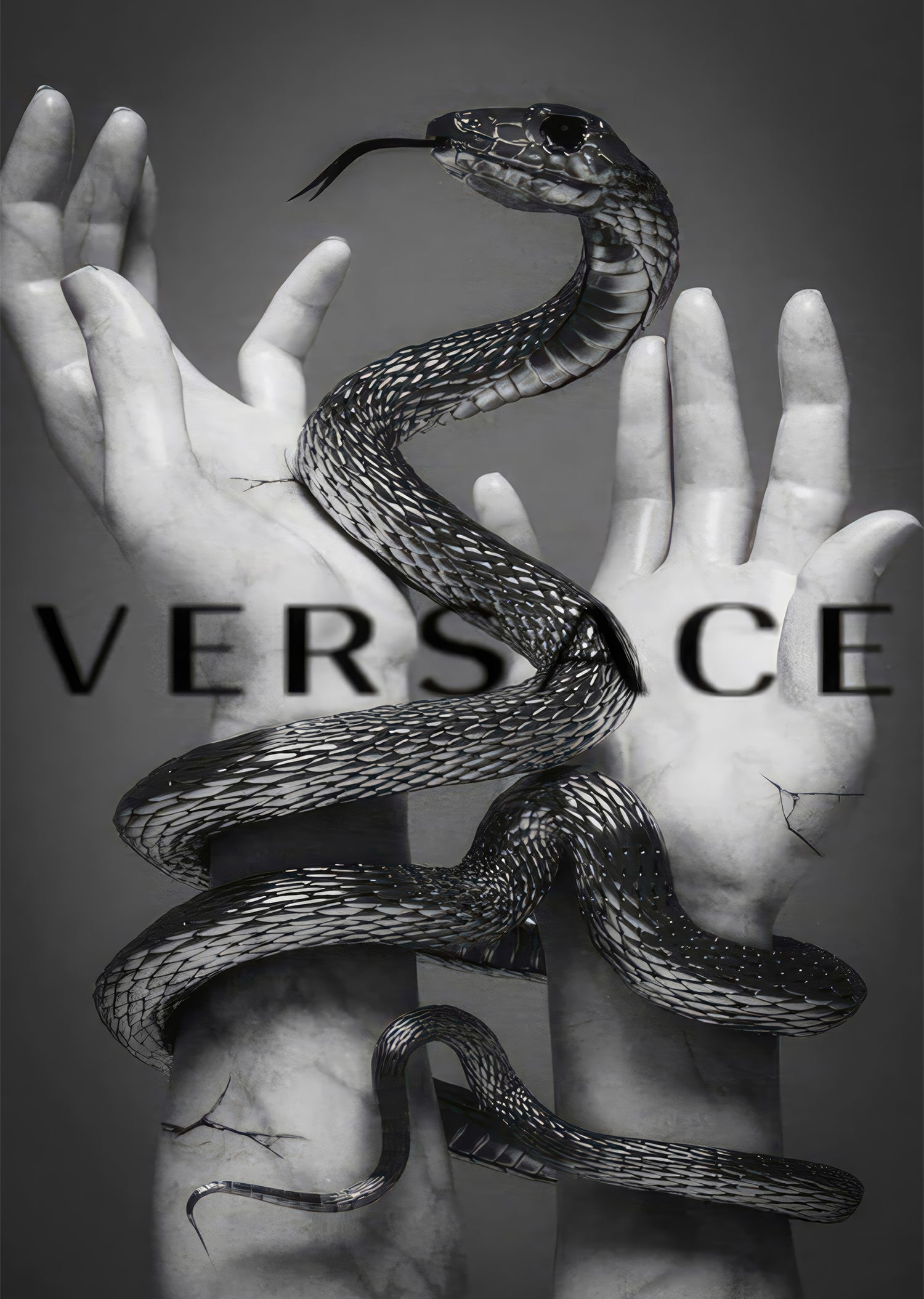 Fashion Snake - 5.jpg