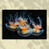 Jellyfish Wonders - 1.jpg