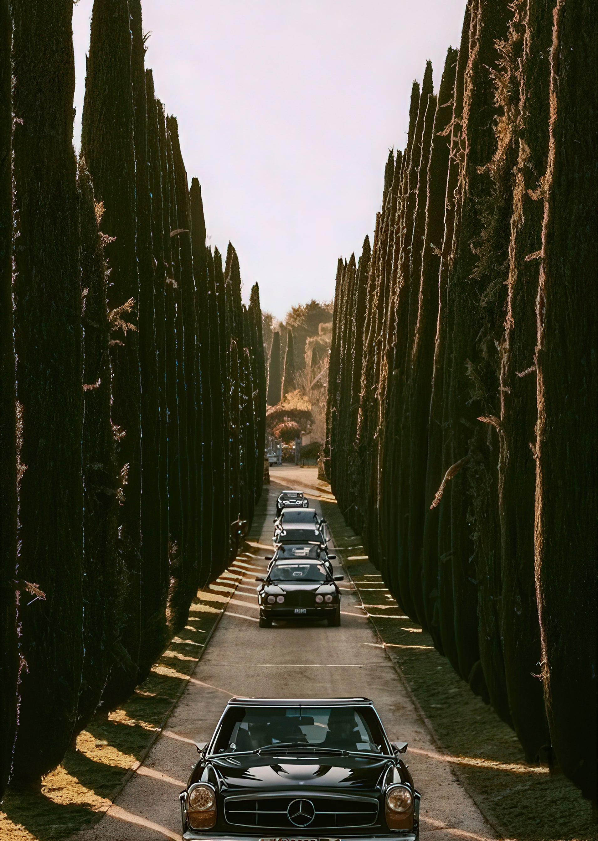 Roadtrippin - 5.jpg