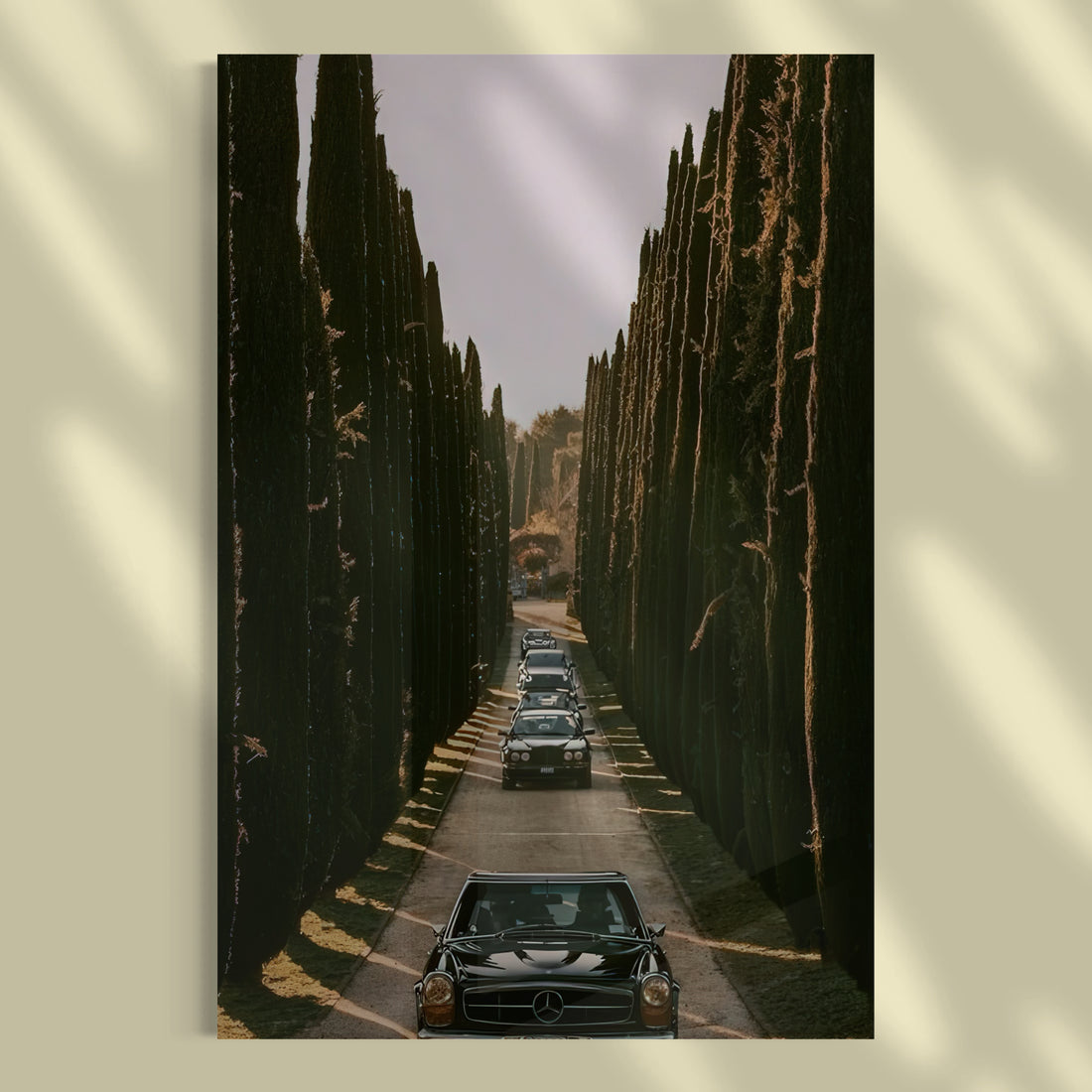 Roadtrippin - 1.jpg