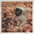 Astronaut Field - 1.jpg