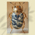 Soft Gold Scarab - 1.jpg